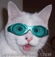 测试一个超长简介的文章