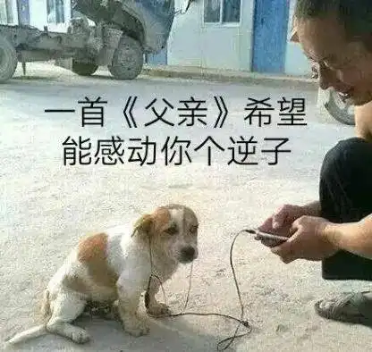 大型双标现场为什么人对猫狗的态度差异那么大
