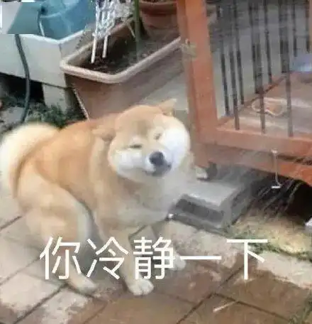 给狗子取贱名,更好养活吗