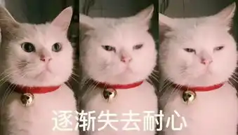 沙尘又来气温将飙至30西安的过山车天气又来了