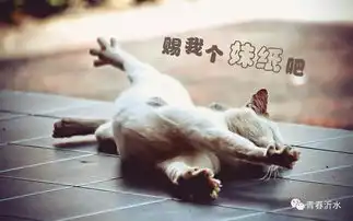 共青团给你找对象,更是帮你交朋友附详细报名方式,快快报名