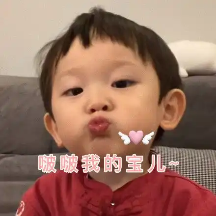 表情包是我不宝贝了吗