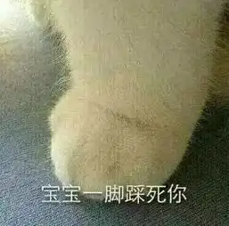 e句话看天下闺蜜群又开张了,大家看过来