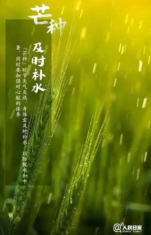 今日芒种依旧挺热,省内8地达30丨辽婶儿聊天