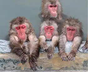 测试一个超长简介的文章
