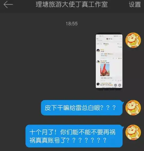 丁真推广手机惹争议,本人账号回复雷军白眼表情,被骂后才修改