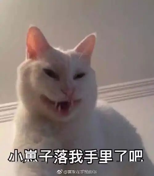 满眼都是戏,这些毛孩子确定没成精