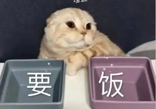 大学生花式要生活费走红,你大学时是咋要生活费的呢