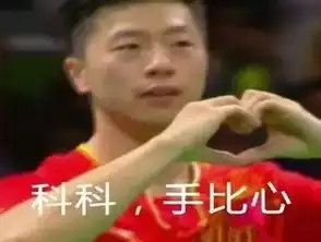 一场晚会聚集娱乐圈体坛明星,花花志玲姐姐表白洪