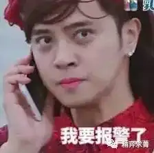 我的寄养服务甜甜圈