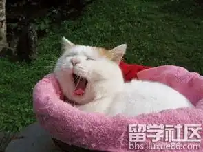 节后上班第一天表情