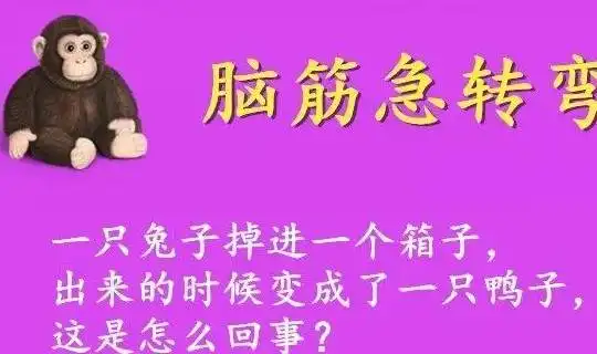 搞笑段子我发现一个愤怒的小鸟