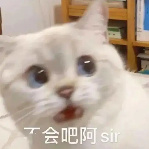 每晚分享沙雕表情包