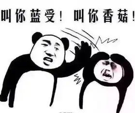 2016年十句烂大街网络流行语,再听我只好选择狗带