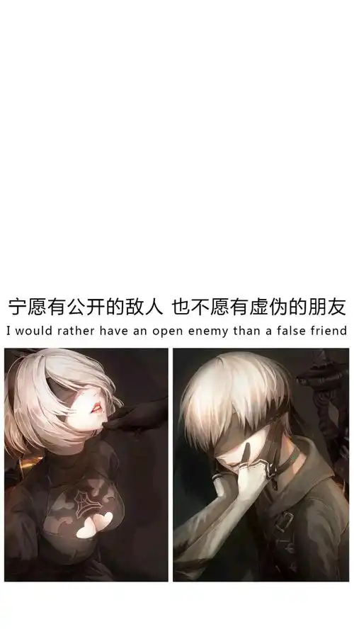 兵妹潮壳壁纸每日更新05期