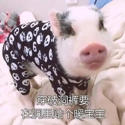 中年少女养生指南,天天嚷嚷着减肥却过着佛系生活