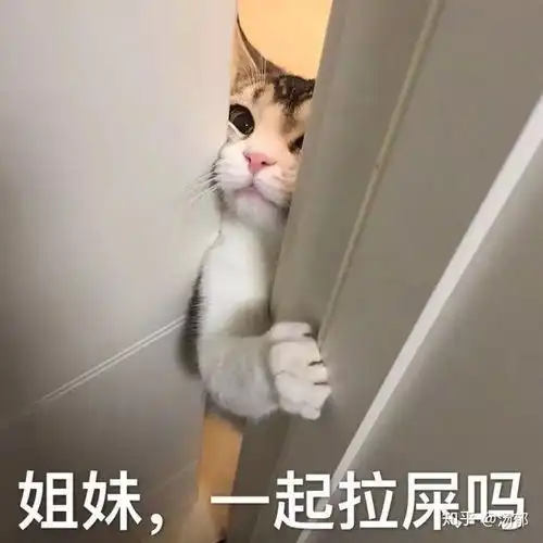 如果你遇上更好看优秀价值匹配的人,会离开现任吗,为什么新知青年请回答