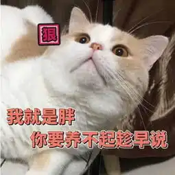 表情包快看,你滑稽搞笑的样子上电视了