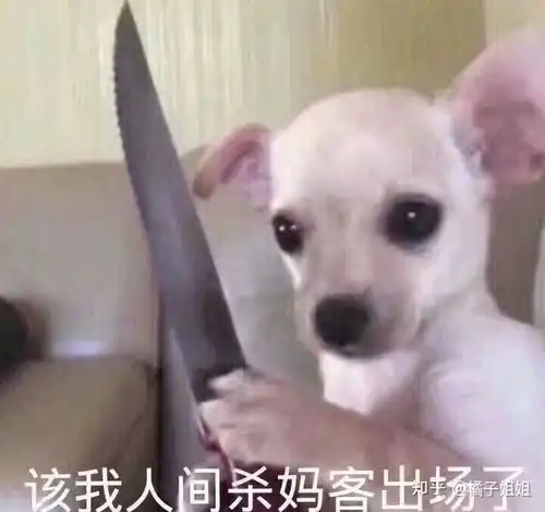 女生舍友能恶心到什么程度