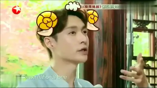 极限挑战5张艺兴面试超可爱,小绵羊华丽转身变成国际蜂