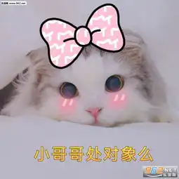 不至于吧大叔阿姨表情包小哥哥小姐姐处对象么软萌表情包下载乐游网游戏下载
