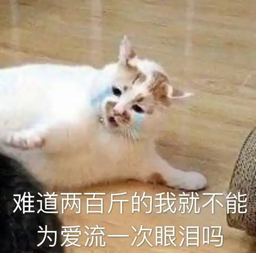 如何克制这个表情包