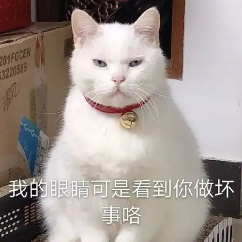 今日份沙雕表情包