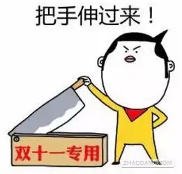 双十一理智消费从我做起
