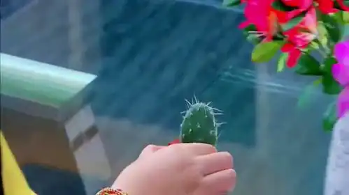 校花回来跟闺蜜发牢骚他好粗鲁闺蜜羡慕这还不好