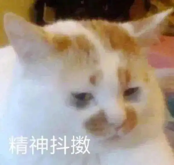开心笑话你什么意思,老娘当年问你要彩礼要少了是不