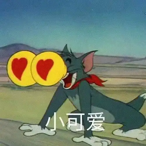 我的收藏