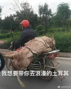 2867鲁a88888挂