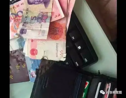 哈士奇咬烂了钱包,主人拿刀吓唬它,没想到它