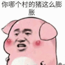 支付宝里的口碑红包怎