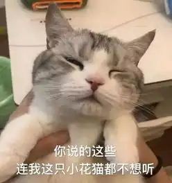 高考逢端午,全上985