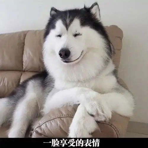 搞笑精彩的搞笑图片每日一笑第八期
