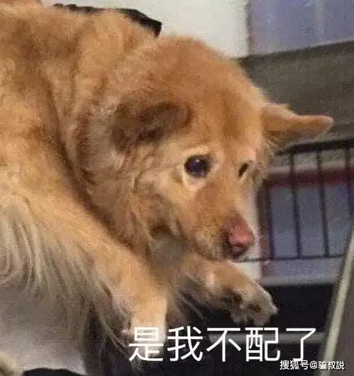 暴躁网友在线怼人现场,这也太解气了吧赶快学习起来