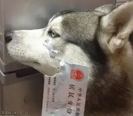 搞笑图片好萌的妹子,熊孩子以后大出息