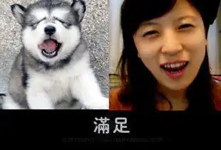 管理员模仿动物搞笑照片蹿红网络