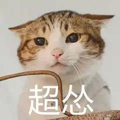 表情包下载表情包合集下载