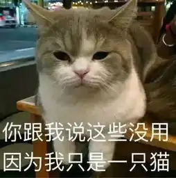 职场新人靠什么在公司上位