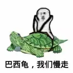 表情包皮皮虾我们走表情包,聊天必备