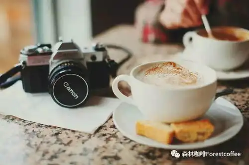 开学季品森林咖啡,享纯粹生活
