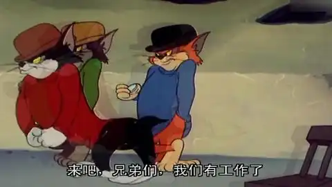 用抖音的方式打开猫和老鼠,告诉你什么才是社会猫