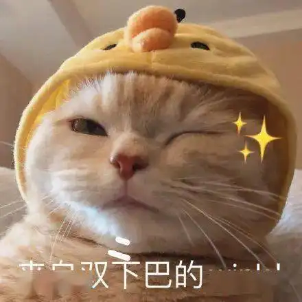 杂志茅台镇子里的酒,除了茅台,你还能想到谁