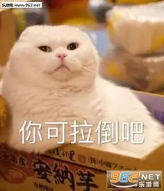 你有什么意见吗软萌表情包你可拉倒吧猫咪表情包下载乐游网游戏下载