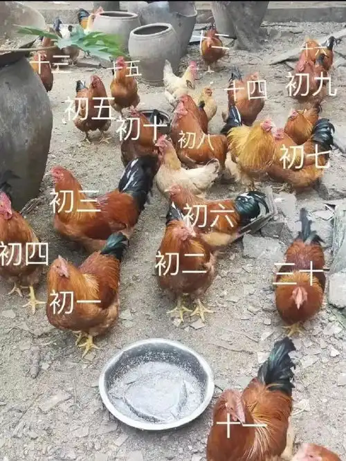 商家是懂怎么吸引顾客的那些让人笑到肚子疼的搞笑图片