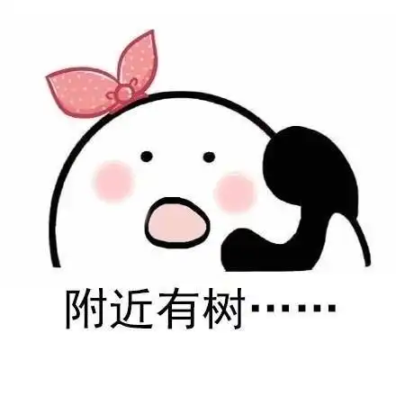 你们知道厦门的路痴活得多辛苦吗不,你们不知道