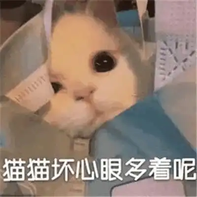 抖音超火小猫咪能有什么坏心眼表情包很有趣热门的表情包合集