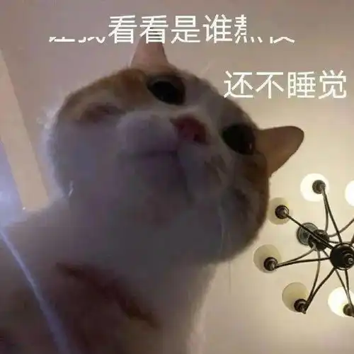 可爱仙女表情包亲亲这边建议你中意我一下